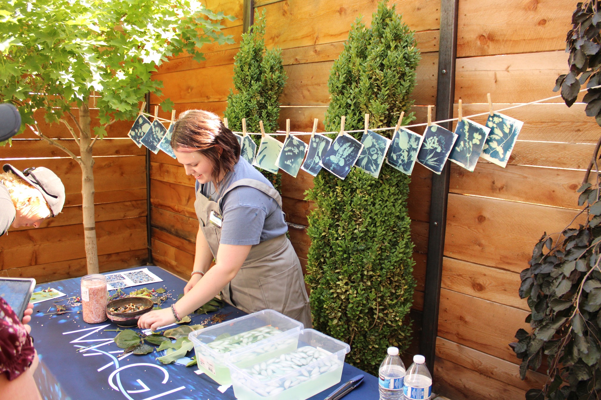 504824536_1263106165441837_7729144980408698932_n